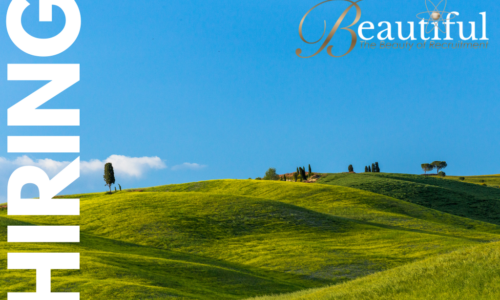 Why Choose Beautiful Recruitment